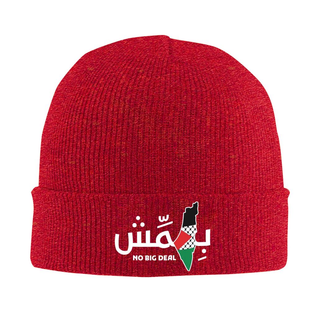 Knit Hat  Vintage Caps Adult Unisex Kpop Beanie Hats Autumn Custom Elastic Bonnet Hats