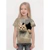 Roupa de Menina 2025 Gato de Desenho Animado Animal Fofo Estampa 3D Moda Casual Camisetas Engraçadas Camisetas de Menina Top de Verão de Manga Curta