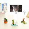 50pcs Heart Shape Photo Card Holders Round Shape Paper Note Holders  Table Display
