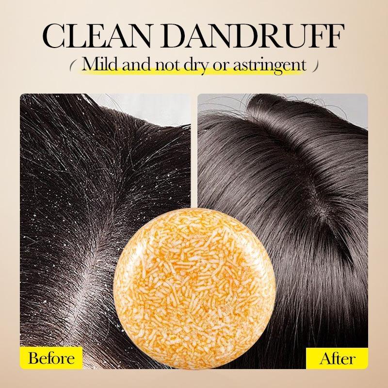 Cold Processed Ginger & Polygonum Shampoo Bar for Hair Growth and Scalp Nourishment