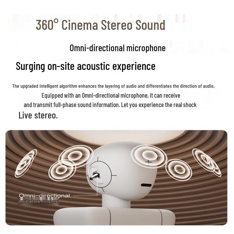 Newman A20 Pro Clip-on Open-Ear Bluetooth Earbuds