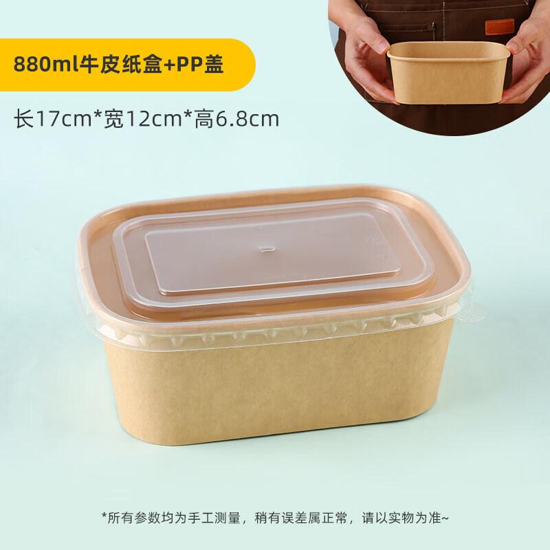 

Disposable Rectangular Paper Picnic Box