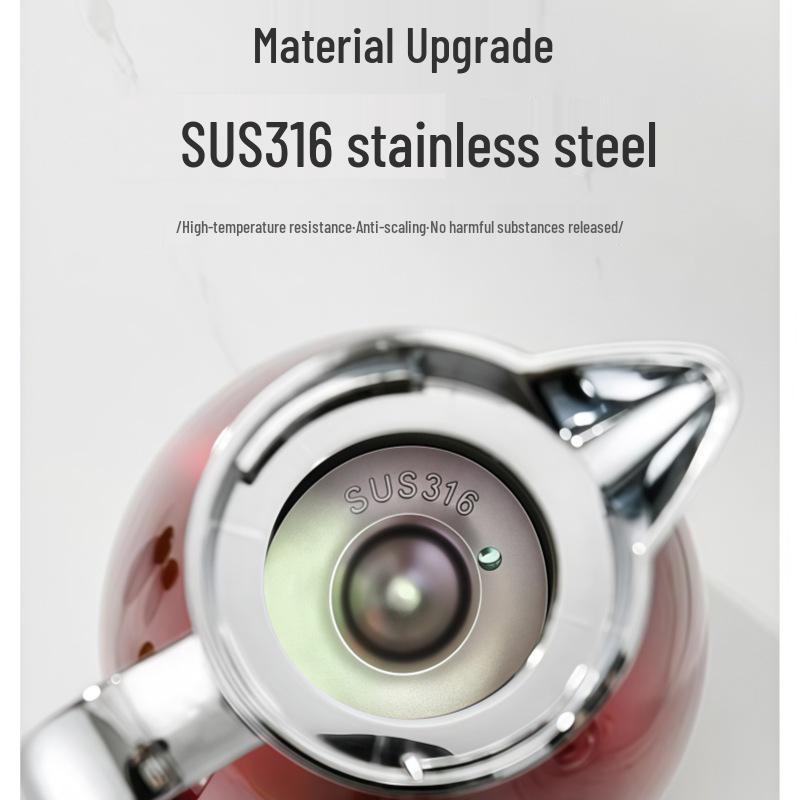 316 Stainless Steel 2L Vacuum Insulated Hot Water Bottle for Hotel/Home