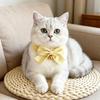 Summer Arrival Bow Tie Pet Bandana for Cats and Dogs - Fresh & Stylish Photography Accessory