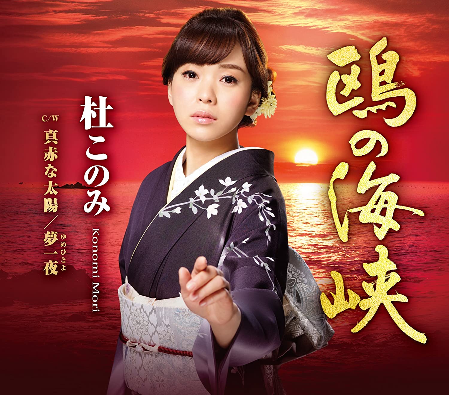 

CD KONOMI MORI - Kamome no kaikyou(akaban)kamome no Japan ObiJapanese Enka Used