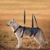 Dog Lift Harness Soft Padded Pet Full Body Support Sling For Old Disabled Joint Injuries Dog Back Leg Hold Carrying Aid