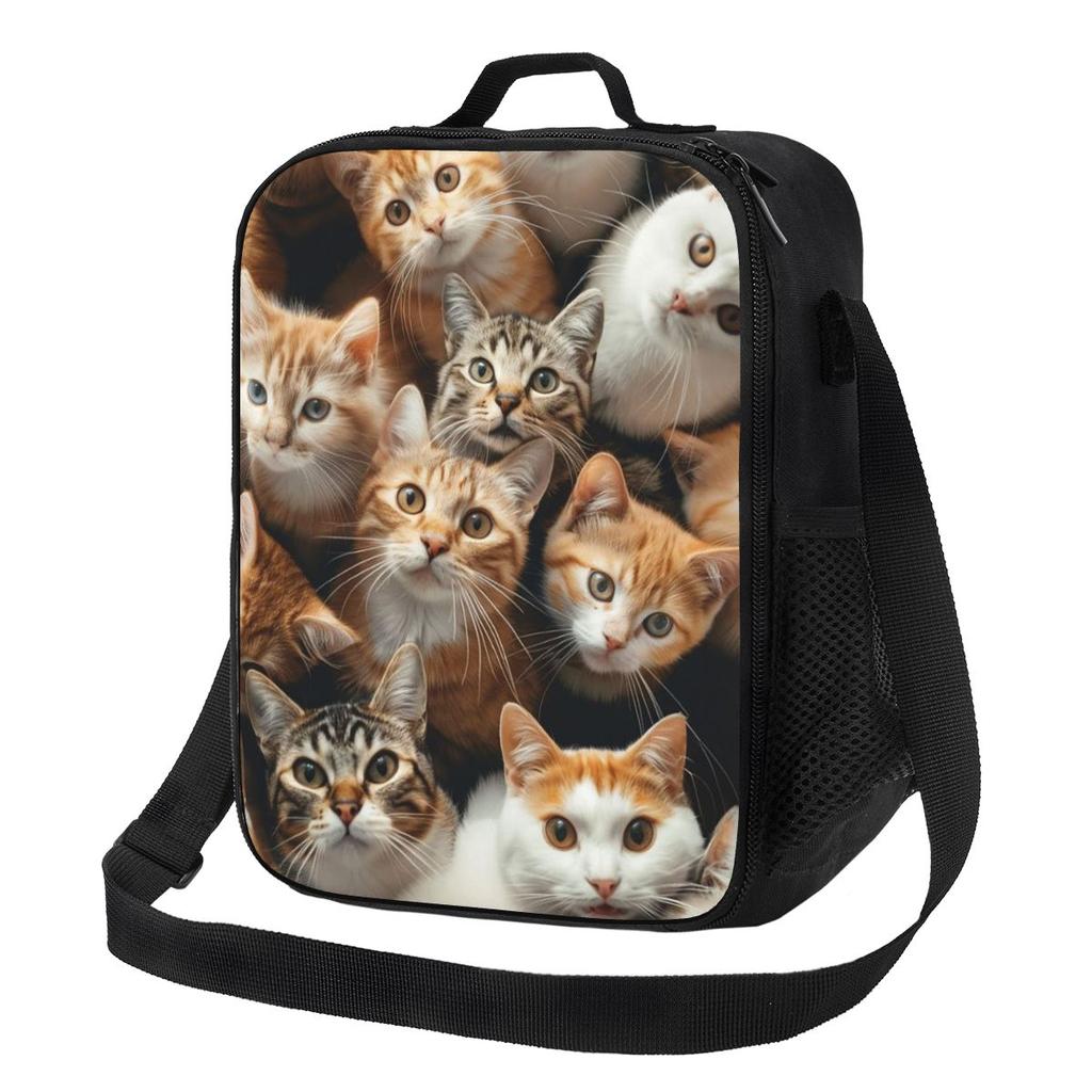 Cat Lunch Bags Insulated Bento Box Portable Lunch Tote Leakproof Picnic Bags Cooler Bag for Woman Girl Office