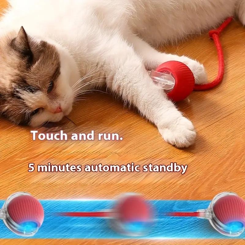 Long tail toy ball USB rechargeable cat training toy, training cat observation and capture abilities, suitable for all cats