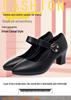 Women's Soft Sole Chunky Heel, Round Toe Leather Shoes - Spring/Autumn 2026, Single Buckle, Medium Heel
