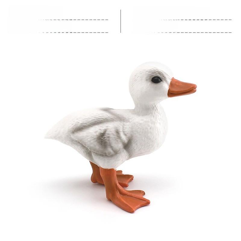 Childrens Pvc Bird Figurines Set For Farm Scene Decor And Learning Activities