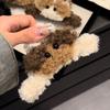 1pc Curly Cute Dog Autumn/Winter Plush Large Grip Clip New Cute Back of Head Hairpin Shark Clip Hair Accessory