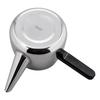 Wahei Freiz Teapot, Tea, Sensha, 0.7L, Side Handle Straight, SR-9739