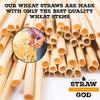 100pcs 20cm Disposable Wheat Straw Eco-Friendly Natural Wheat Drinking Straws Portable Environmentally Straws Bar Accessory
