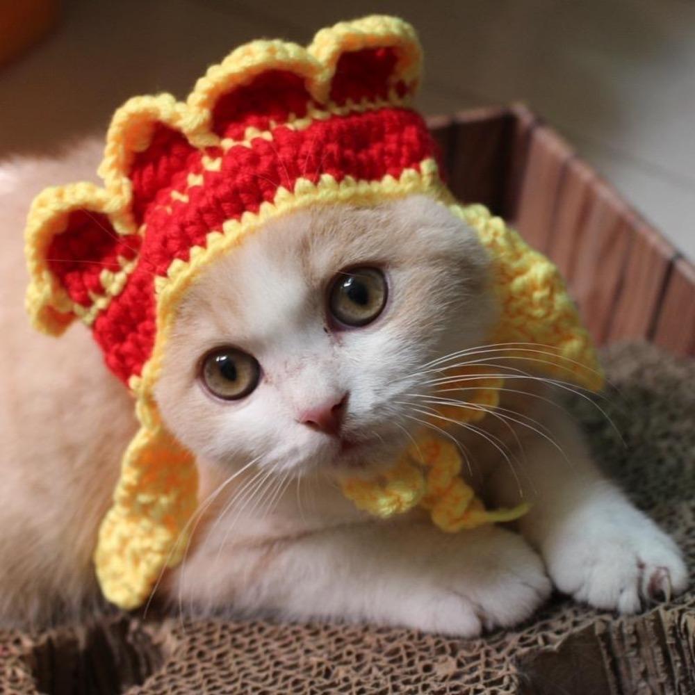 Cappello intrecciato a mano per animali domestici, simpatico cartone animato gatto cane, abbigliamento cappello decorazione, copricapo per animali domestici