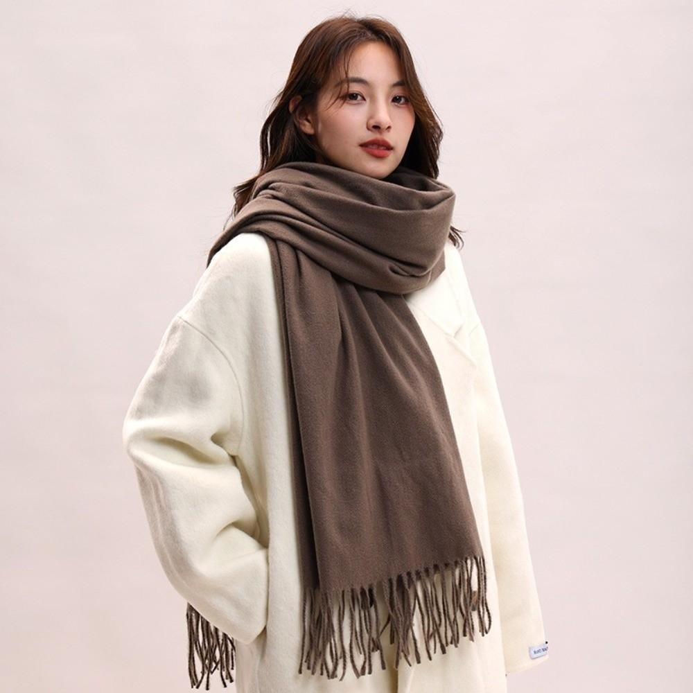 Tassel Imitation Cashmere Scarf Korean Style Women Shawl Elegant Long Wool Scarf  Student