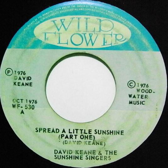 7inch Record DAVID KEANE  THE SUNSHINE SINGERS  Spread A Little Sunshine WF530 Wild Flower 1976 Jamaica Reggae Ska  Dub Used