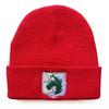 Wings of Freedom Anime Attack On Titan Embroidered Knit Hat Woolen Hat Warm Student Hat Unisex Cold Weather Hat