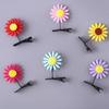 10PCS Cartoon Shape Spring Hairpin for Women Comfortable Hair Clip Girl Traveling Photography Hair Clip Multiple Color