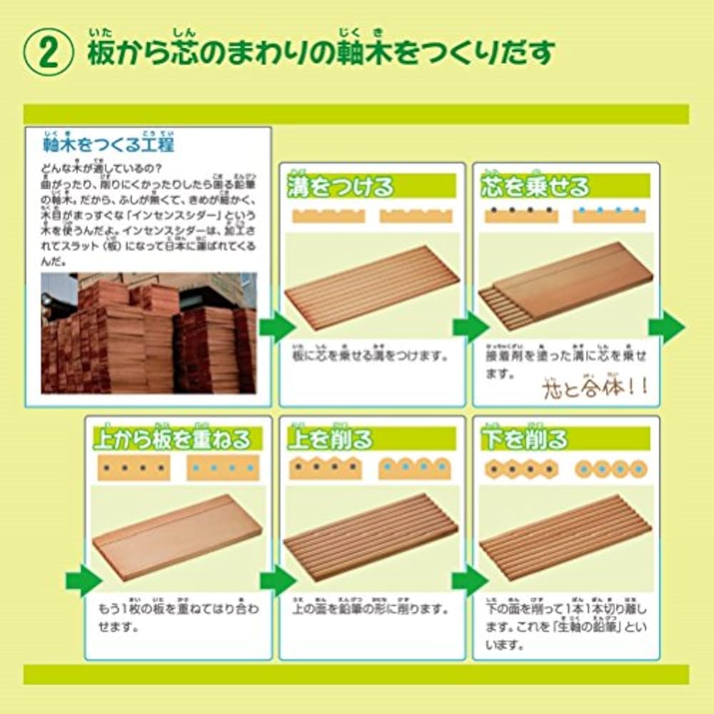 Mitsubishi Pencil Mini Colored Pencils 880 Elementary School Students 12 Colors K880M12CP