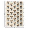 Sky the Jack Russell Terrier Throw Blanket Multi-Purpose Hairys Bed Fashionable Blankets and Throws Blankets