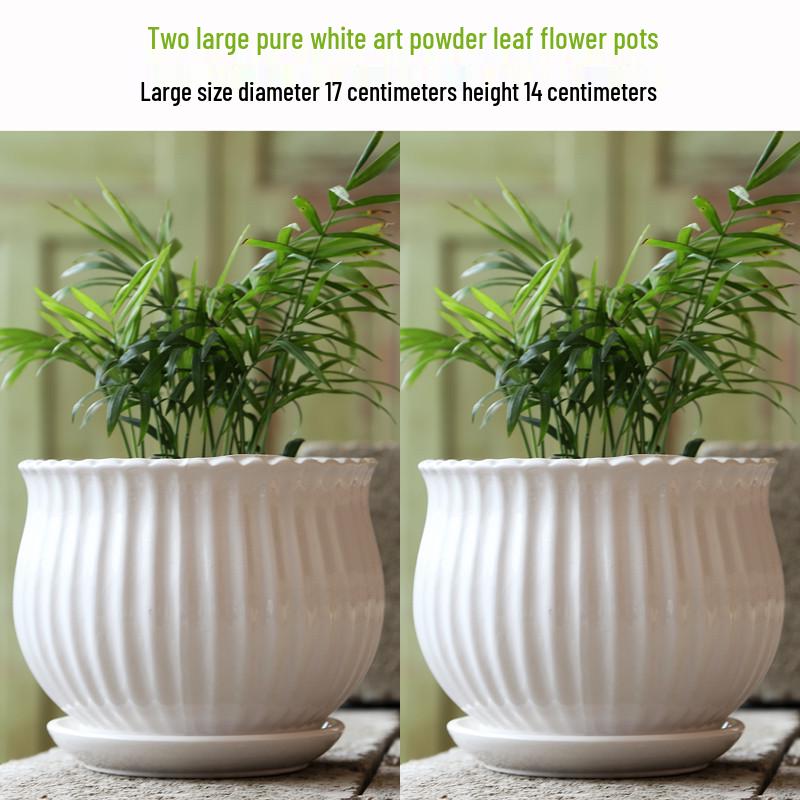 Elegant White Ceramic Flower Pot with Tray - Ideal for Ivy, Spider Plants, and Succulents