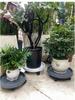 Tempered Resin Mobile Flower Pot Tray with Universal Caster Wheels and Water Catcher.