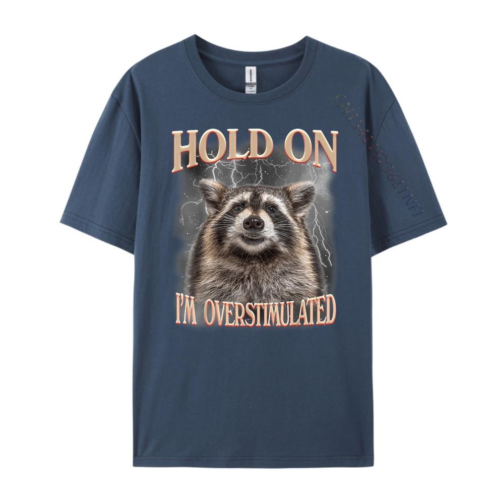 Hold On Im Overstimulated Raccoon Funny Men Women Streetwear Men Fall T Shirts For Men