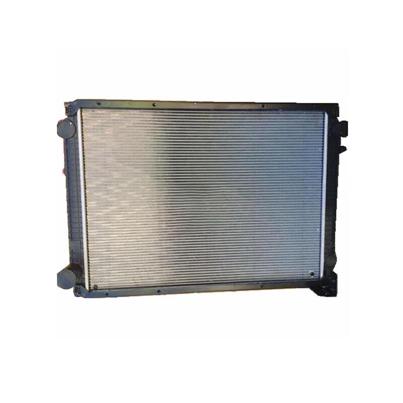 Dongfeng Tianjian EQ1120GA Engine Radiator Assembly 1