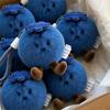 1 Stück Tiefblaue Blaubeer-Plüschpuppe 6cm Frucht-Ornament Taschenanhänger Schlüsselanhänger Weiches Spielzeug für Alle Altersgruppen