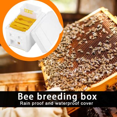 Bee Hive Foam Beekeeping Box King Beehive Garden Bee Keeping Bee Tool Nest Case