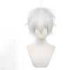 Anime Seishiro Nagi Cosplay Paruky Stříbrně Bílé 30cm Krátké Kroucené Tepelně Odolné Syntetické Vlasy Pánská Paruka