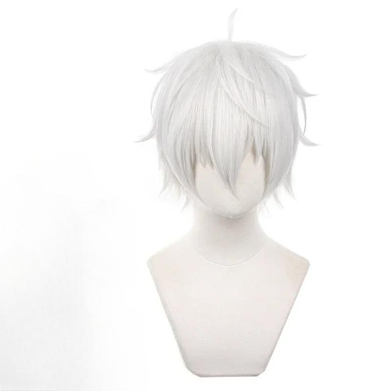 Anime Seishiro Nagi Cosplay Paruky Stříbrně Bílé 30cm Krátké Kroucené Tepelně Odolné Syntetické Vlasy Pánská Paruka