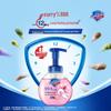 Safeguard Antibacterial Foaming Hand Soap, Cherry Blossom