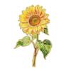 Pin Brooch Pin Enamel Flower Design with Smooth Edges Lightweight