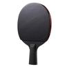 Double Fish Black Carbon King 3-Star Table Tennis Racket