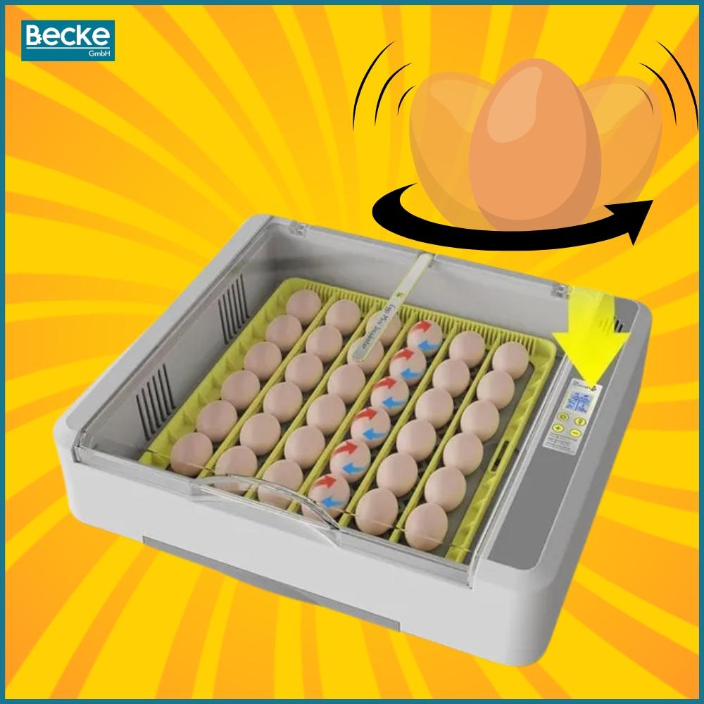 Automatic incubator, hatcher, egg turner, egg hatcher, egg turner 36