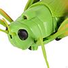 RC Grasshopper Toy Model Remote Control Animal for Gifts