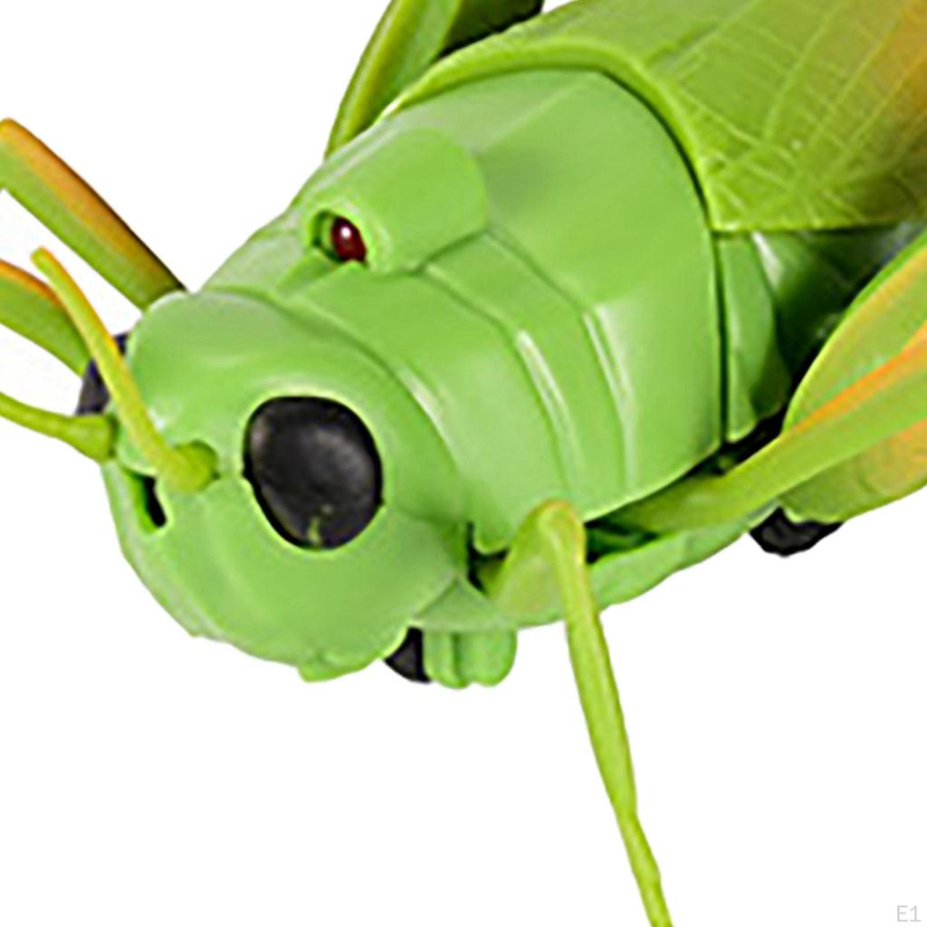 RC Grasshopper Toy Model Remote Control Animal for Gifts