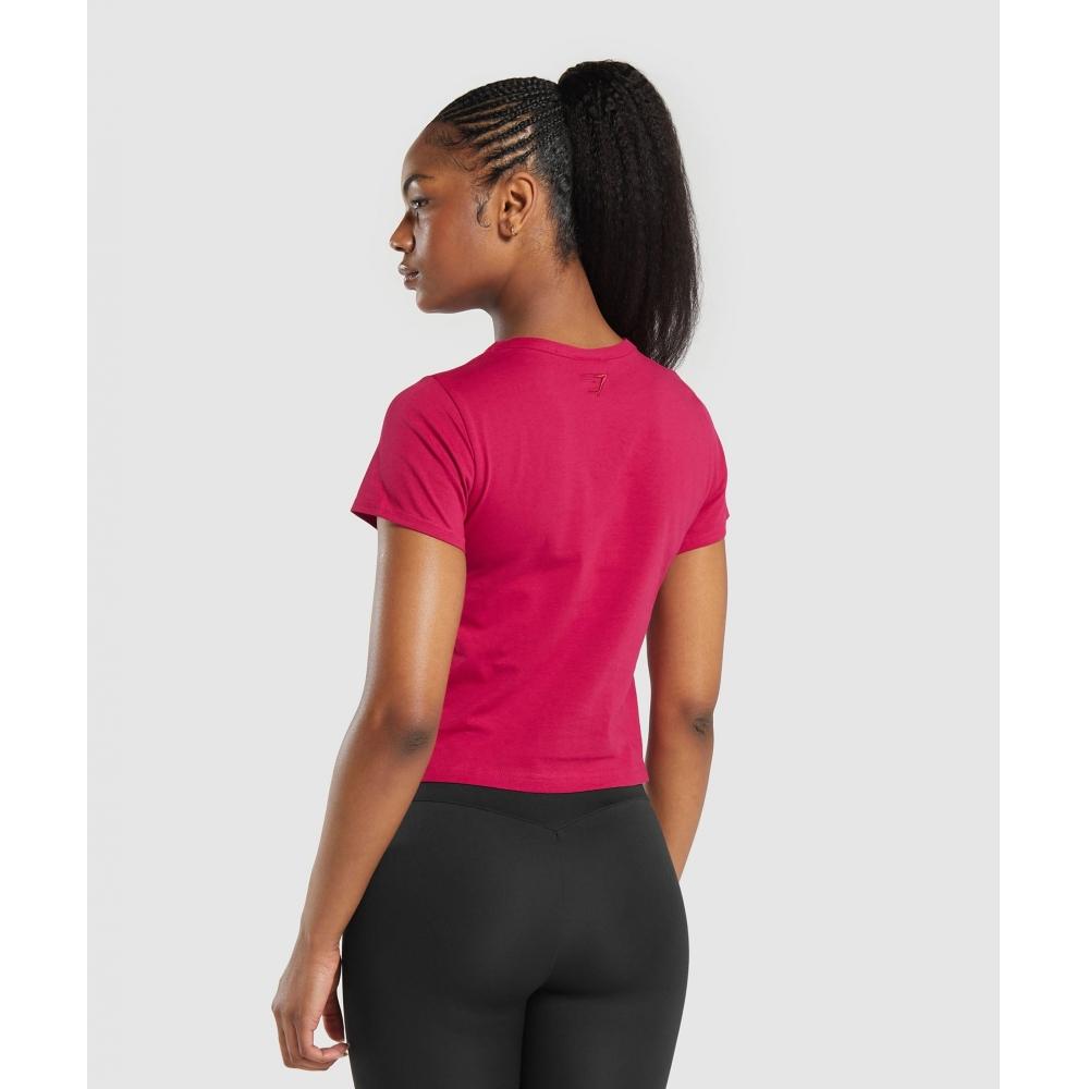 Gymshark Block Crop Top Build Pink B7a1s Kb7b