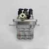 Premium Pump Head 131017511/104134-3011 for Perkins Engines