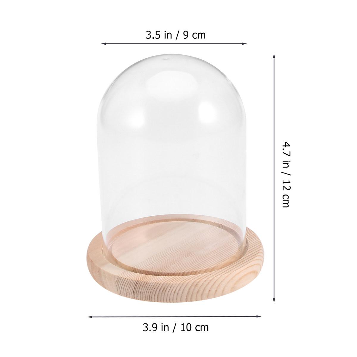 

Micro Landscape Eternal Flower Glass Dome 9x12cm Transparent Glass Cover Wooden Base Dustproof Flower Dome for Valentine DIY