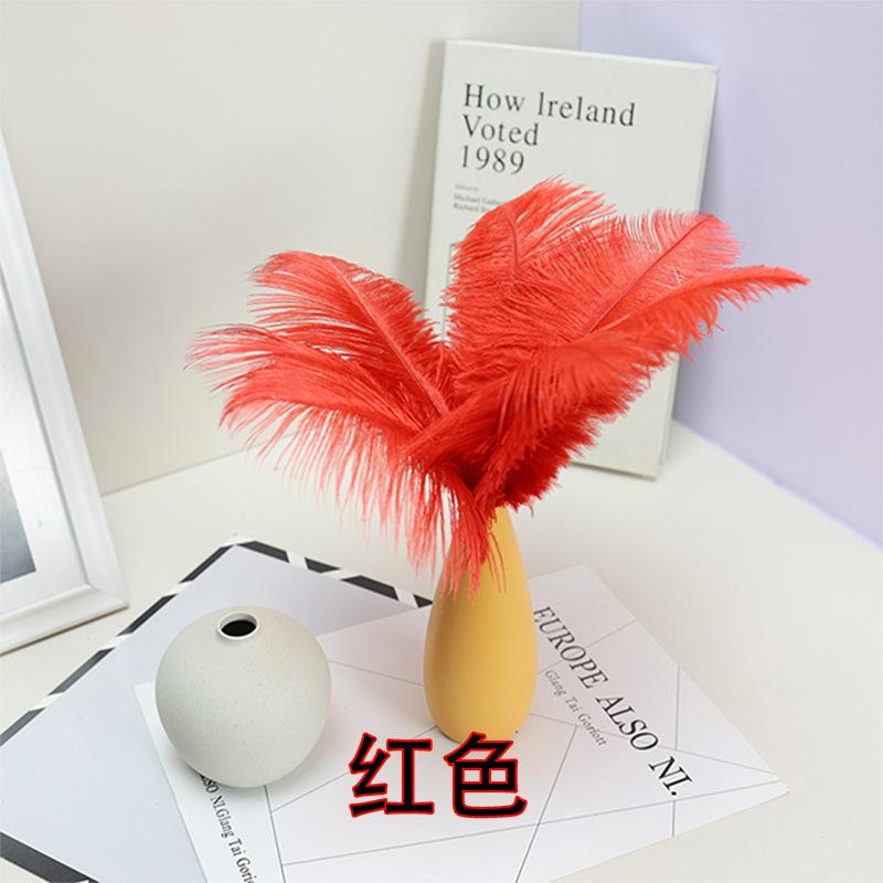 10 STÜCKE 20-25Cm Straußenfeder Bühnenauftritt Feder Handgefertigt DIY Schmuck Dekomaterial Straußenhaar