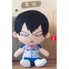 Yowamushi Pedal GRANDE ROAD Big Plush Toy Arakita Single Item
