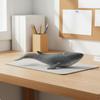 Cephalopod Figurine Lifelike Details Realistic Toy Educational Marine Animal Model for