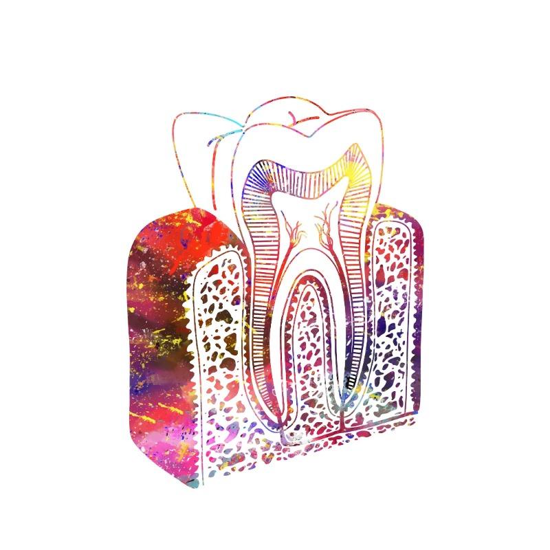 Watercolor Teeth Implant Canvas Painting Tooth Fairy Dental Art Poster Dentist Anatomy Print Wall Pictures Hospital Clinic Decor