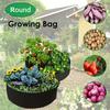 1pc Large 7-Compartment Planting Bag,Round Felt Fabric Raised Garden Bed with Grid Pattern, Lightweight Portable Indoor/Outdoor Planter for Vegetables