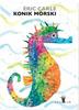 Seahorse W.2023