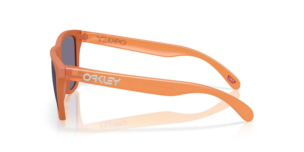 Oakley Sunglasses 0OO9245 FROGSKINS 9245E754 Matte Ginger Prizm Grey Polarized [Oakley] (A)