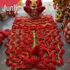 Junli Traditional Lion Dance Head & Costume Set