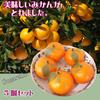 Sugarello Mandarin Fake Artificial Fruit Imitation Photo 5 Pieces Oranges, Mandarins, Models, Objects, Figurines, Ornaments, Props,